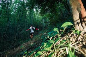 BIB: 
                            <button type="button" onclick="openModal(28124217)" class="btn btn-primary btn-sm float-right btn-popup" data-toggle="modal" data-target=".modal-high-quality">
                        <i class="fas fa-shopping-cart"></i> Add to Cart
                    </button>
                                            <button type="button" onclick="isThisMe(28124217, true)" class="btn btn-success btn-sm float-right btn-popup btn-isme hidden" data-toggle="tooltip" data-placement="bottom" title="นี่คือรูปของคุณใช่ไหม คลิกที่นี่เพื่อเอาเข้าอัลบั้ม">
                        <i class="fas fa-plus"></i> Add to album
                    </button>
                    <button type="button" onclick="isThisMe(28124217, false)" class="btn btn-warning btn-sm float-right btn-popup btn-isnotme hidden">
                        <i class="fas fa-ban"></i> Remove from album
                    </button>